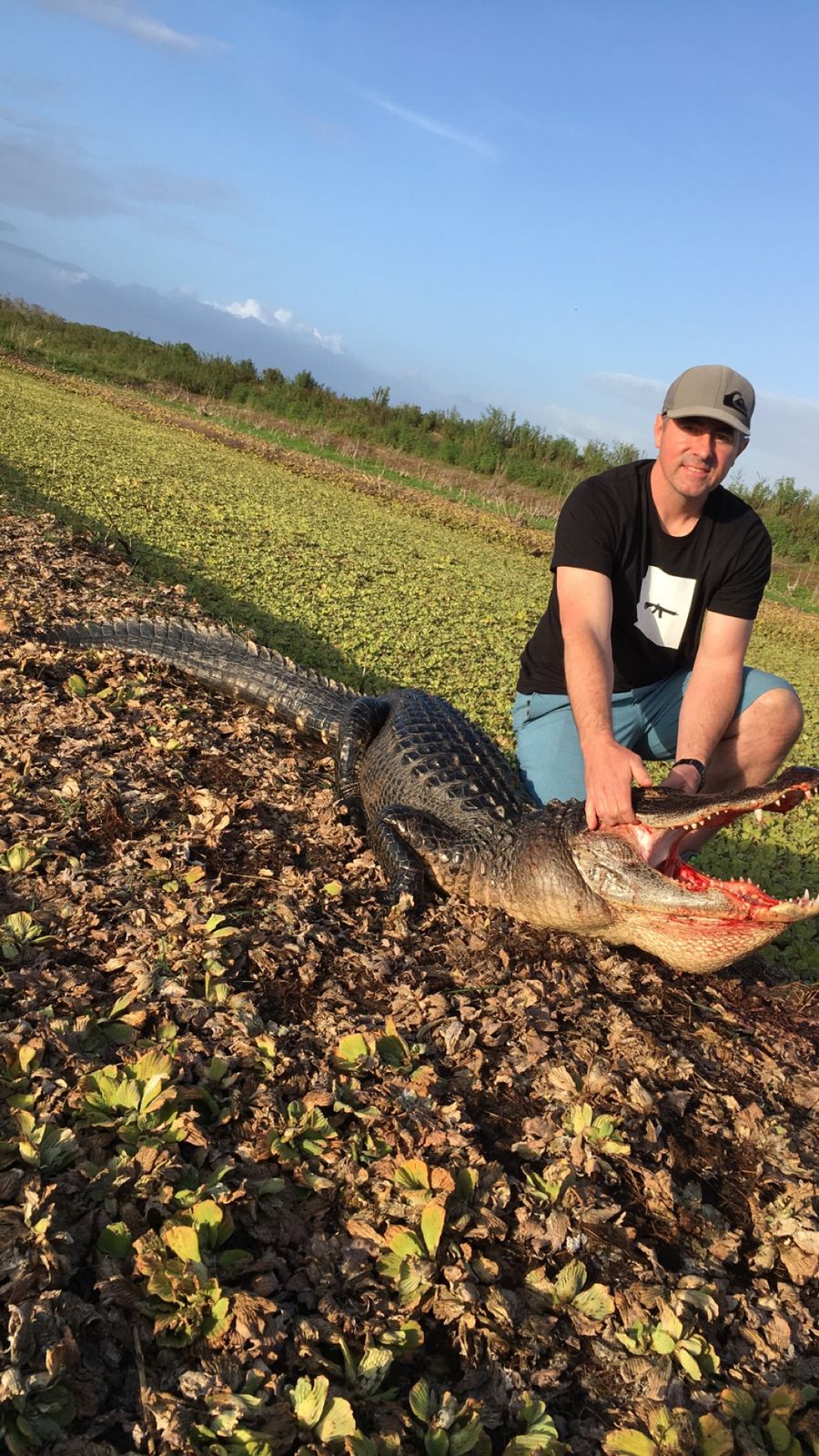 Florida alligator harvest