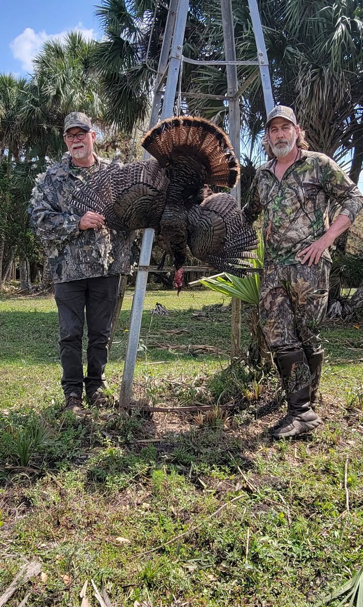 Turkey harvest at stand